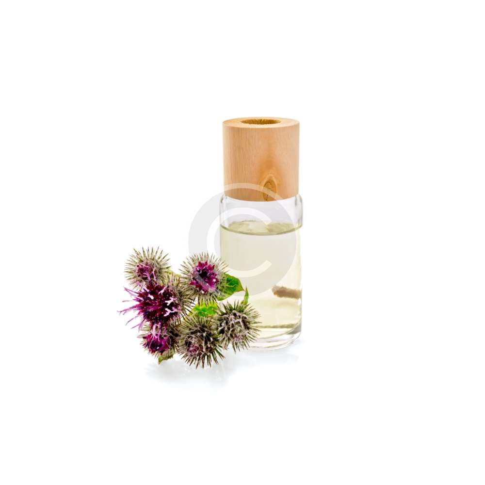 Fresh Cactus Oil